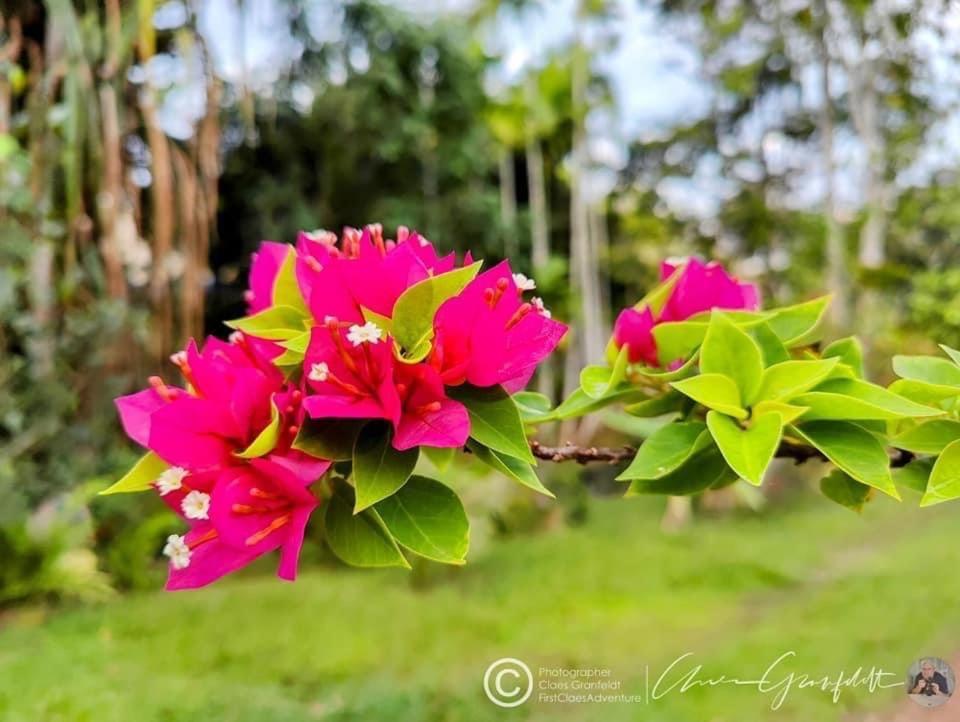 Phurin Thara Resort Koh Lanta Luaran gambar